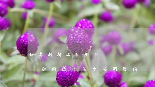 如逾期超过15日，甲方有权